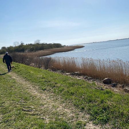 Ferienhaus - 135 Qm - Naehe Insel Poel Ostsee Damekow Kültér fotó